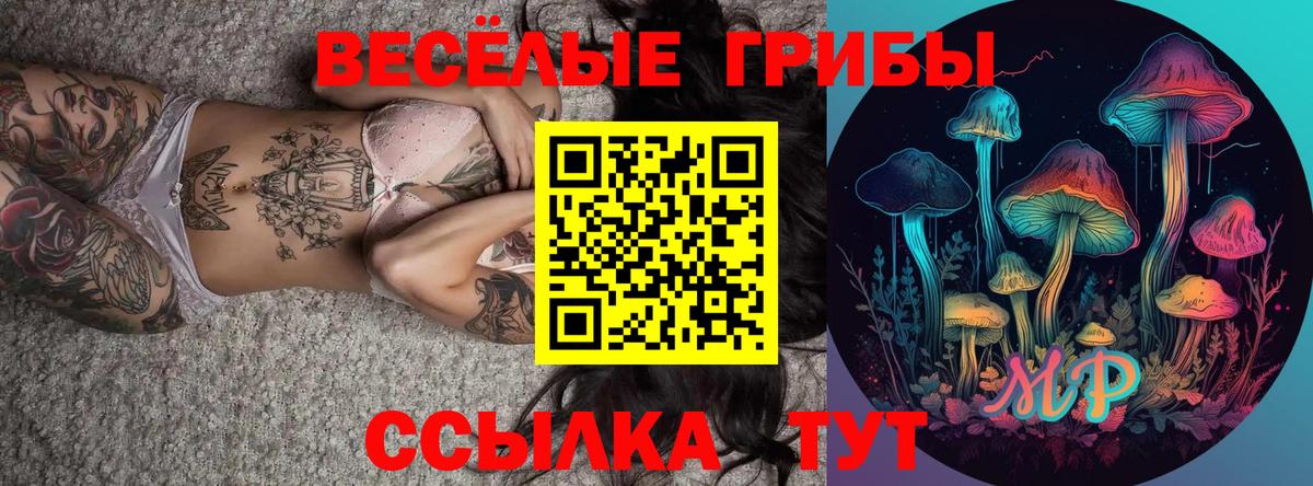 наркошоп  Вход с VPN  Губкин  Псилоцибиновые грибы Cubensis  Псилоцибиновые грибы GOLDEN TEACHER 