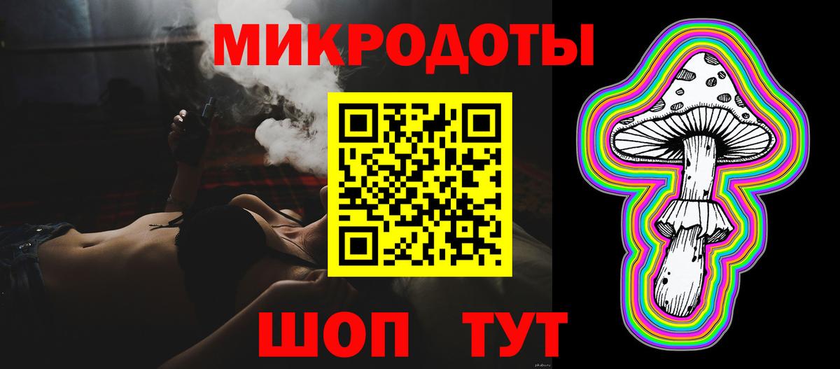 Псилоцибиновые грибы мицелий Губкин